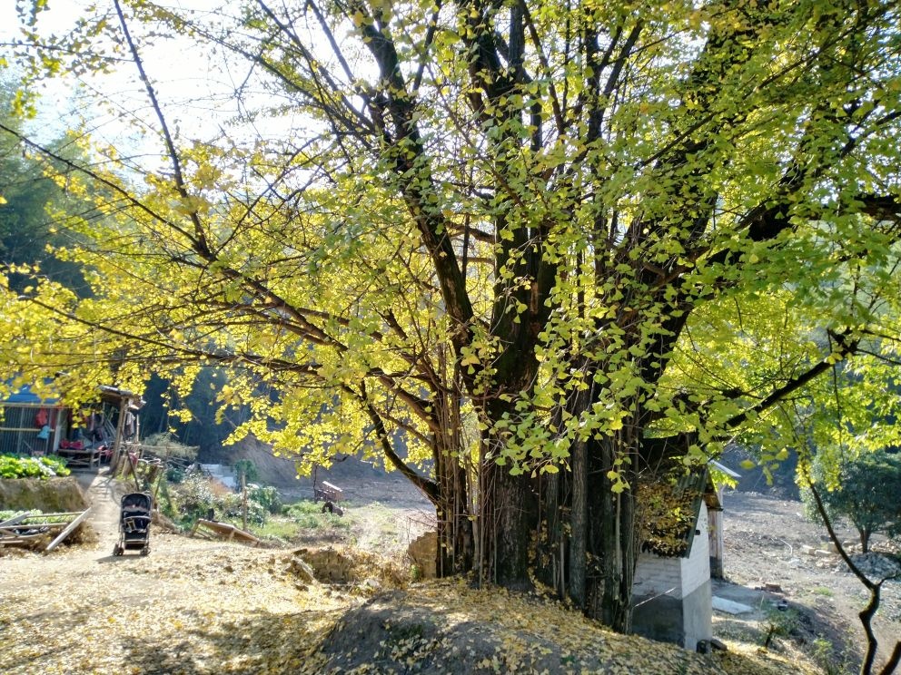 龙角山玉泉寺