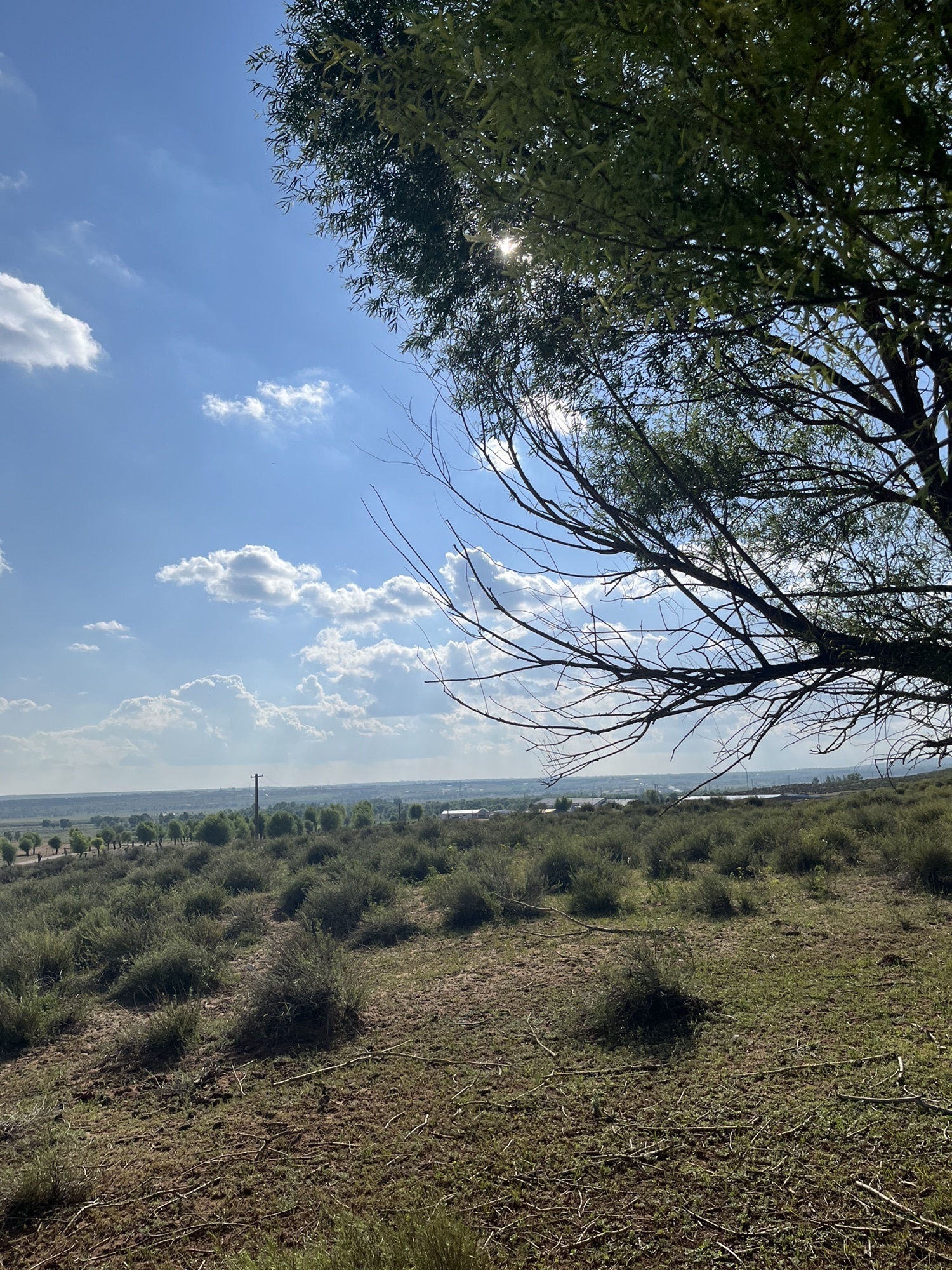 苏泊罕大草原旅游景区