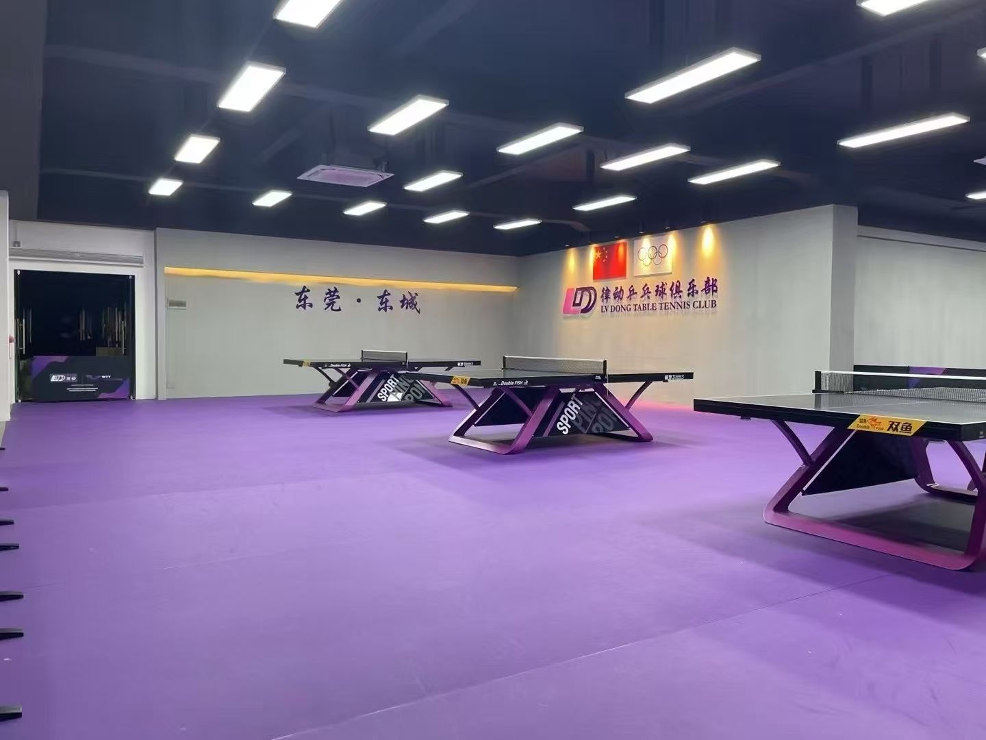 律动乒乓球俱乐部