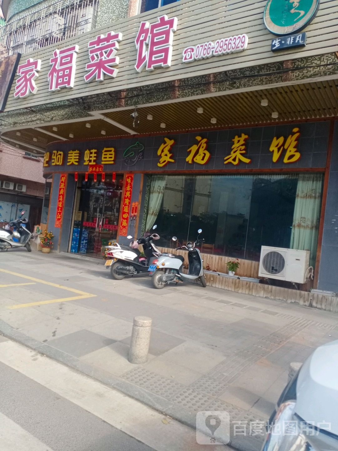 肥驹美蛙鱼