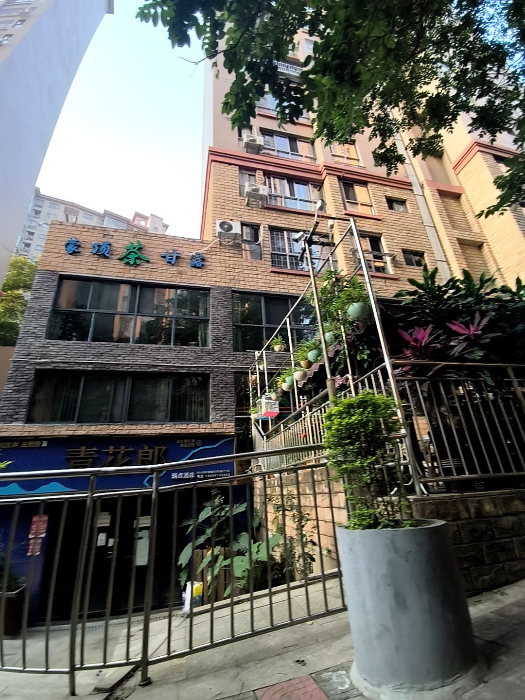 蒙顶甘露(金泰·公园大地店)