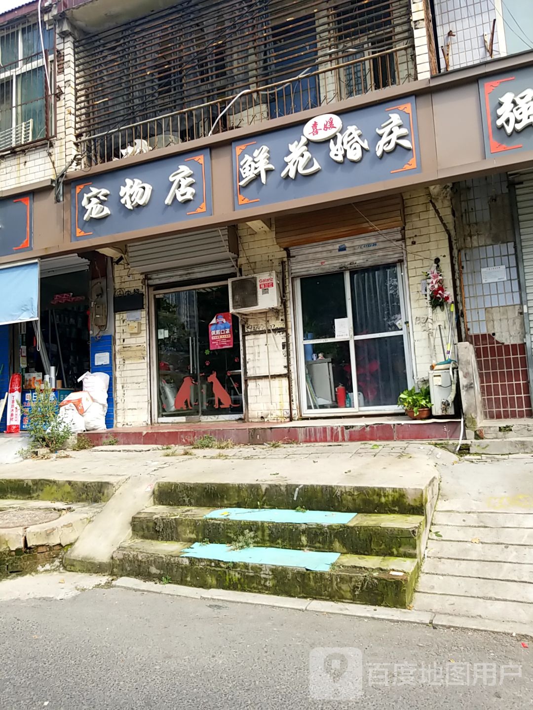 宠物店