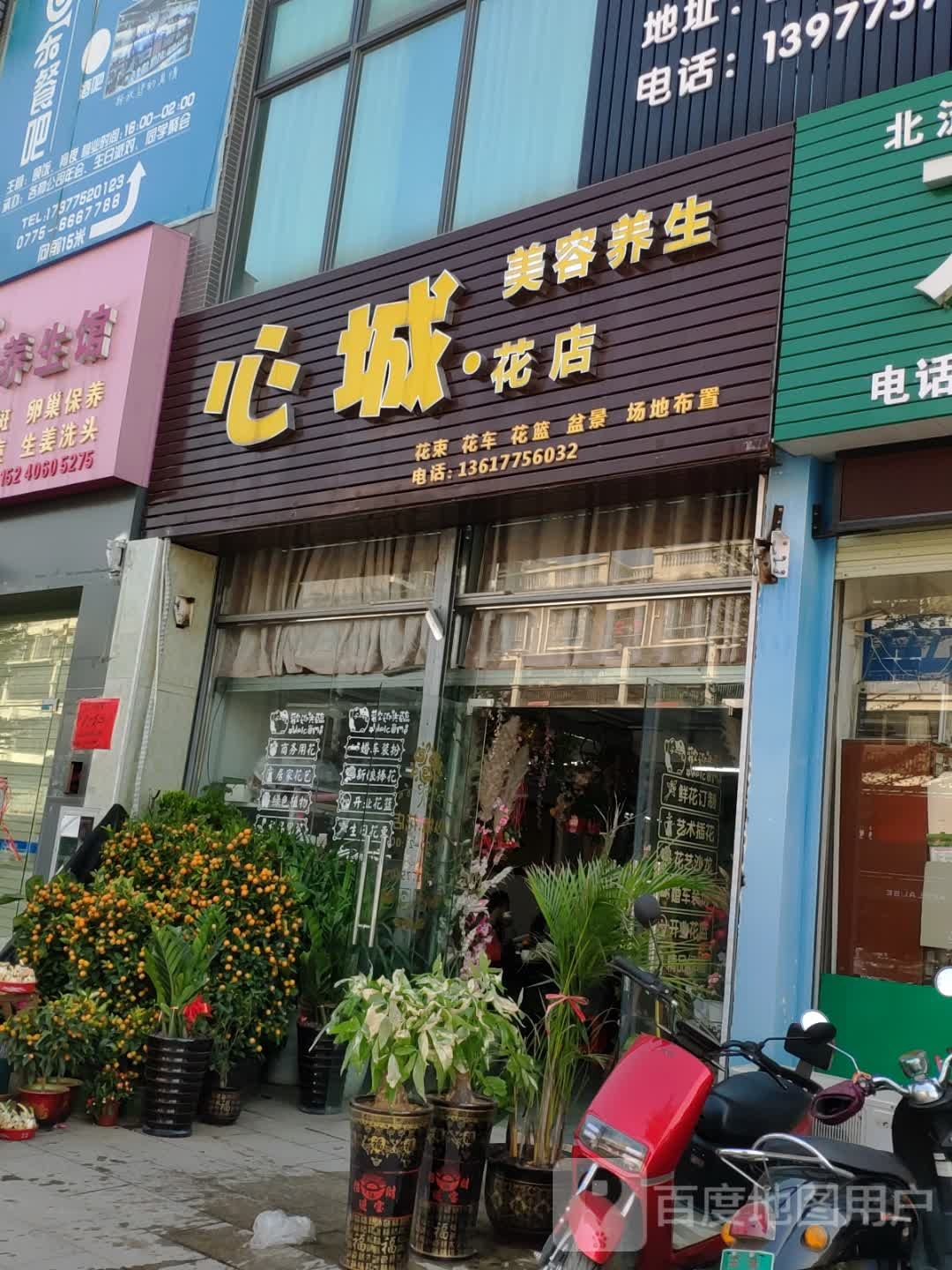心城·花店(北流市圣力商业广场店)