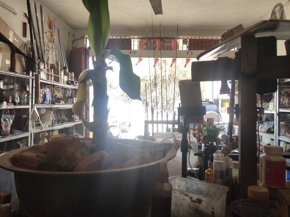 北流硕峰钓具车饰日杂商店