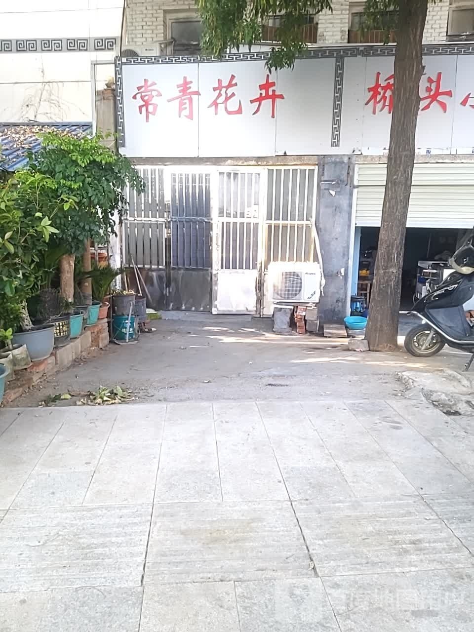 泌阳县常青花卉(泌水北路店)