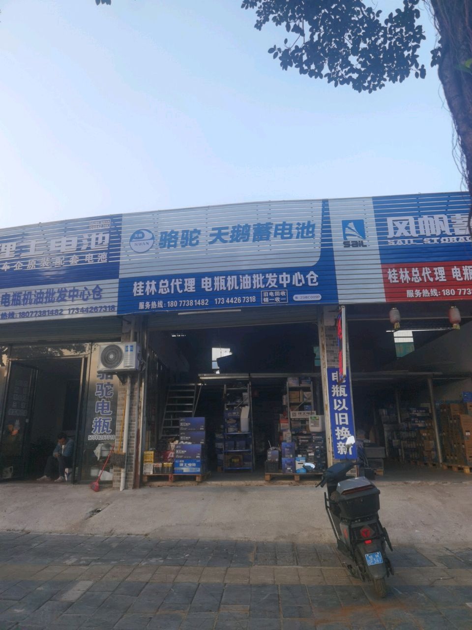 骆驼天鹅蓄电池