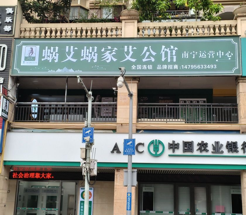 张仲景蜗艾蜗家艾公馆(青林路店)