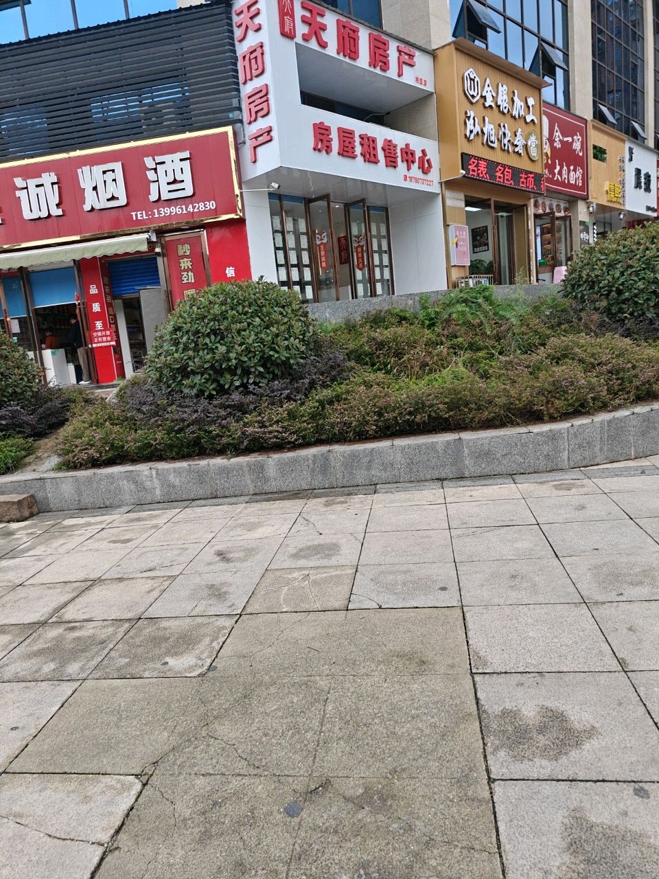 晨寂