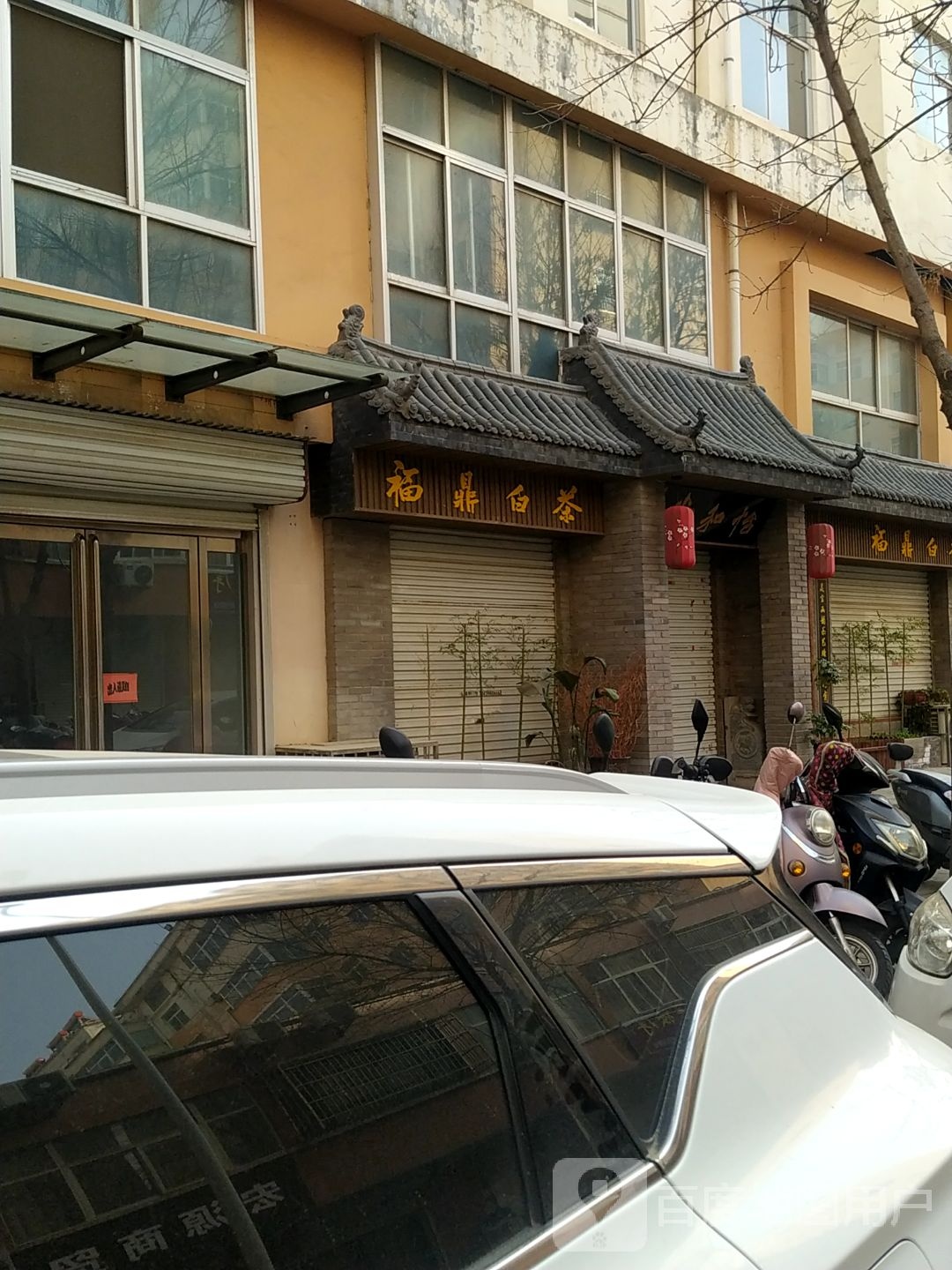 福鼎白茶灵宝体验店(开元大道店)