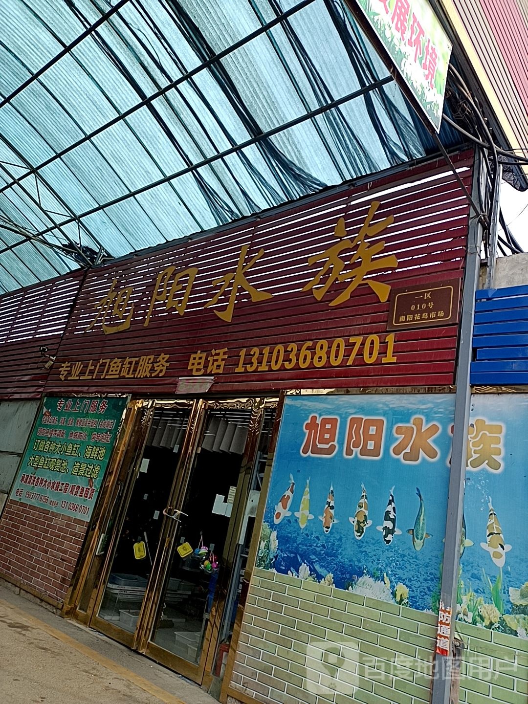 旭阳水族(南阳花鸟市场店)
