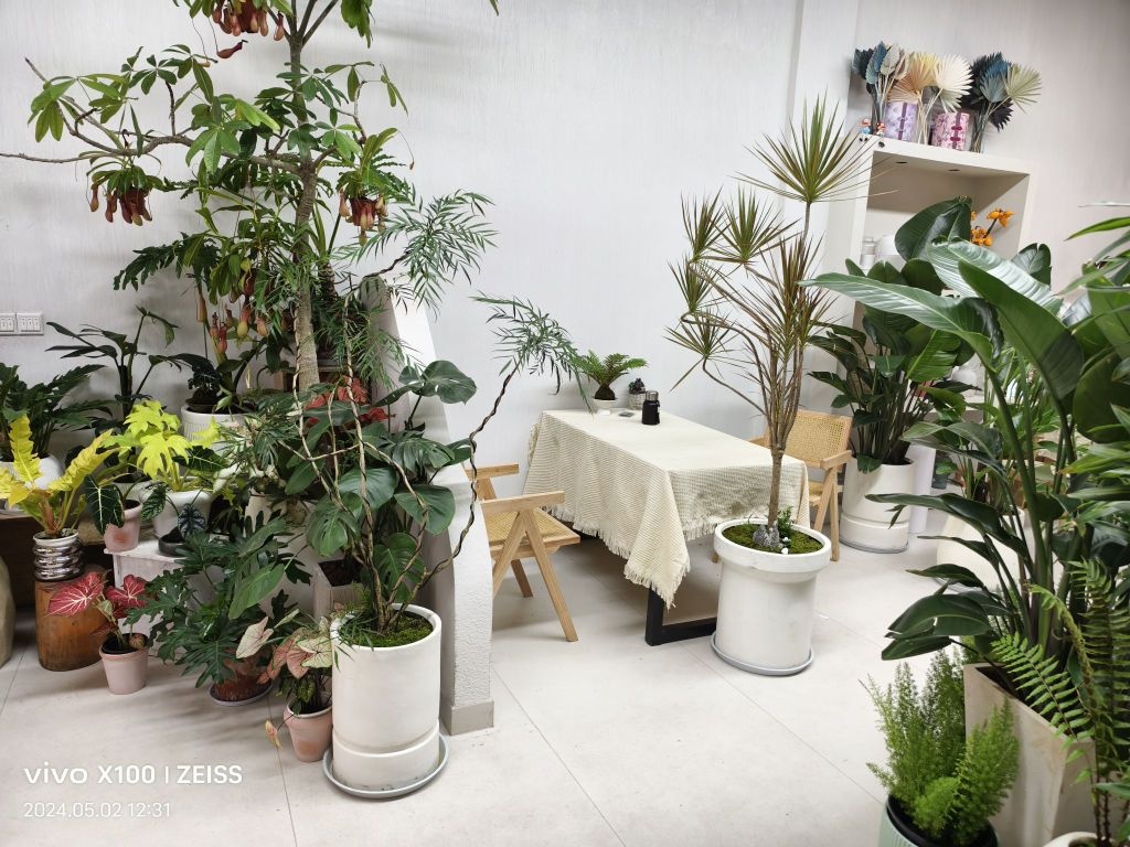 余生花艺鲜花批发部