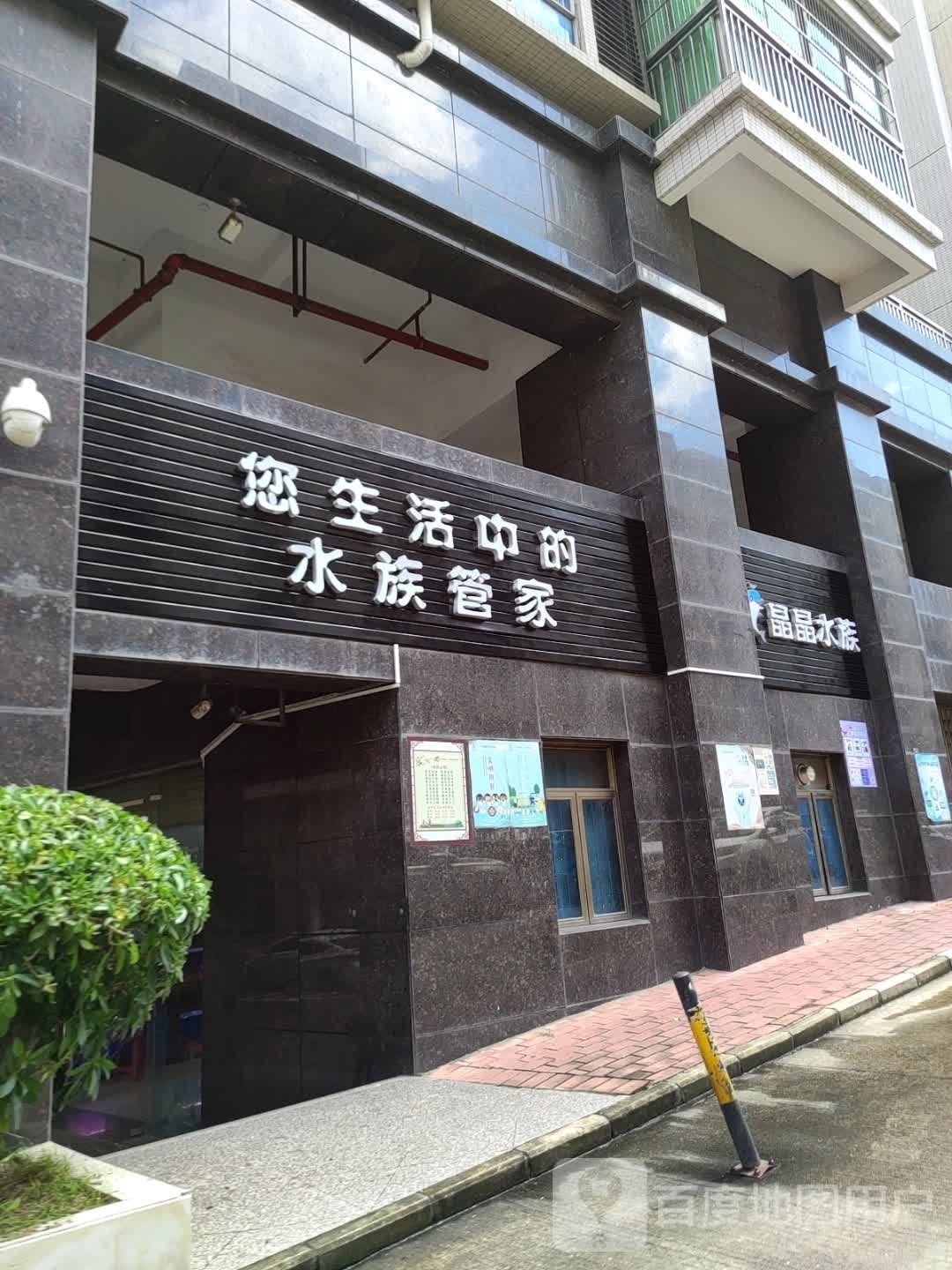 晶晶水族(中铭豪园店)