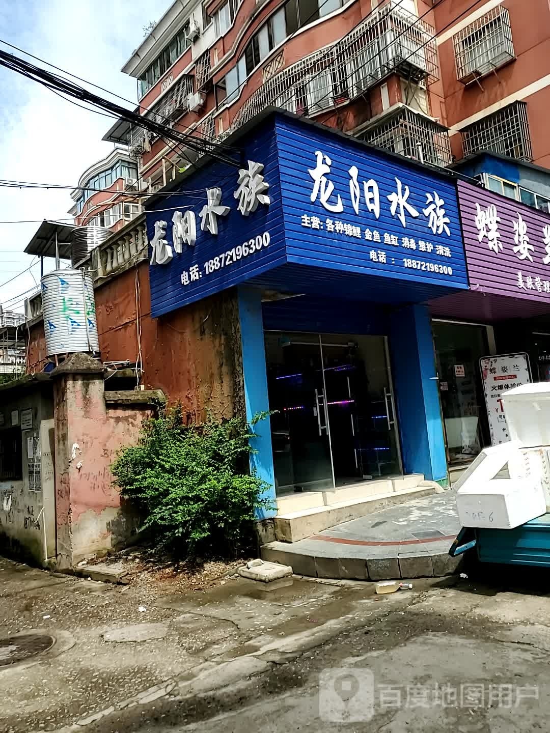 龙阳水族