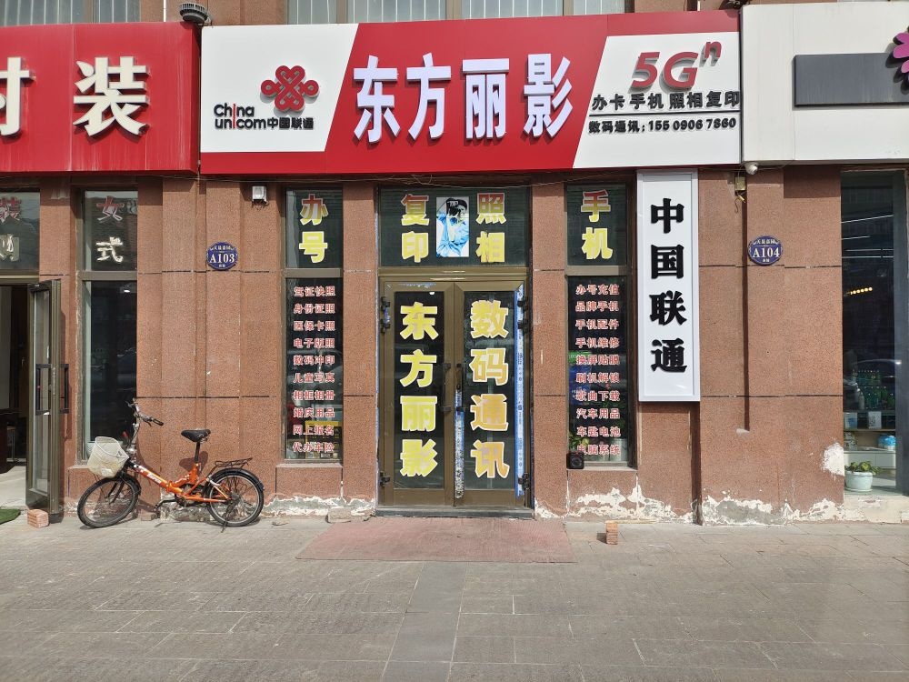 东方丽影