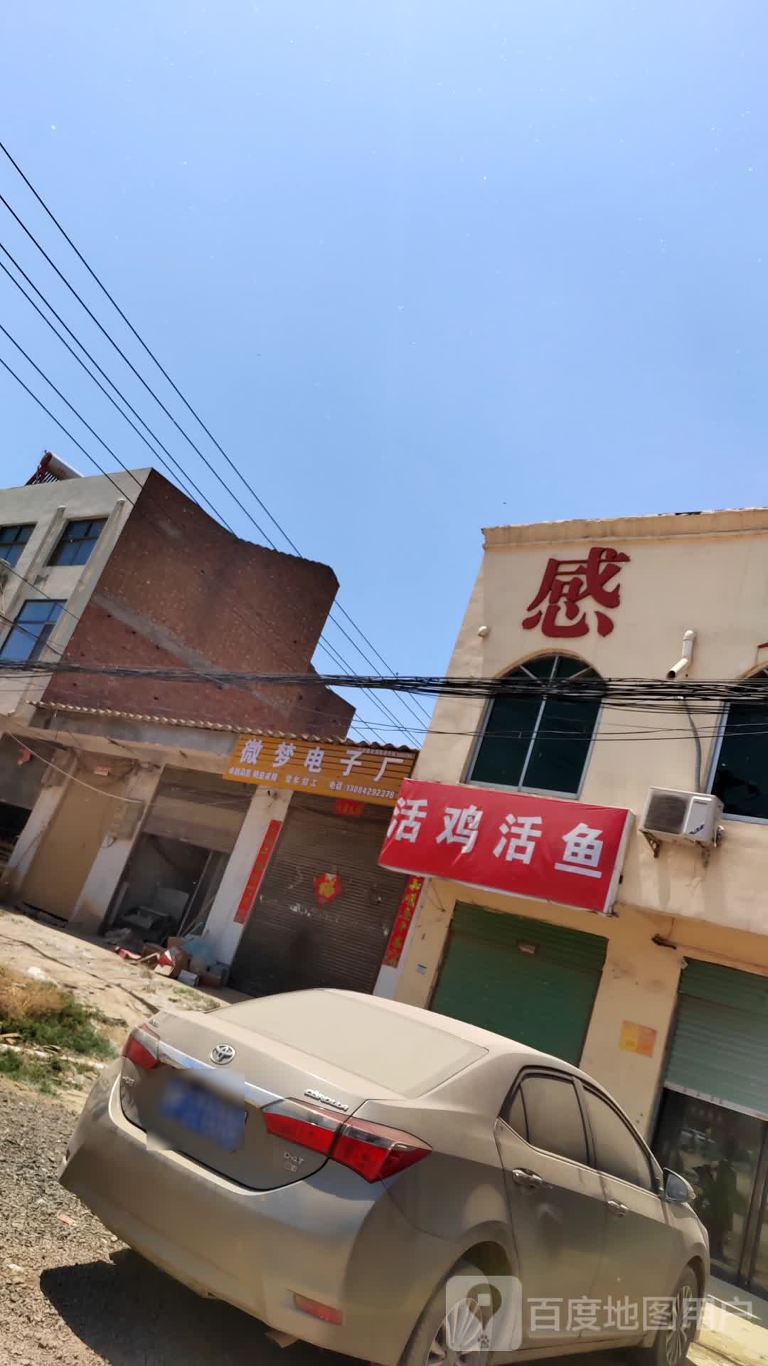 西华县大王庄乡活鸡活鱼(人和路店)