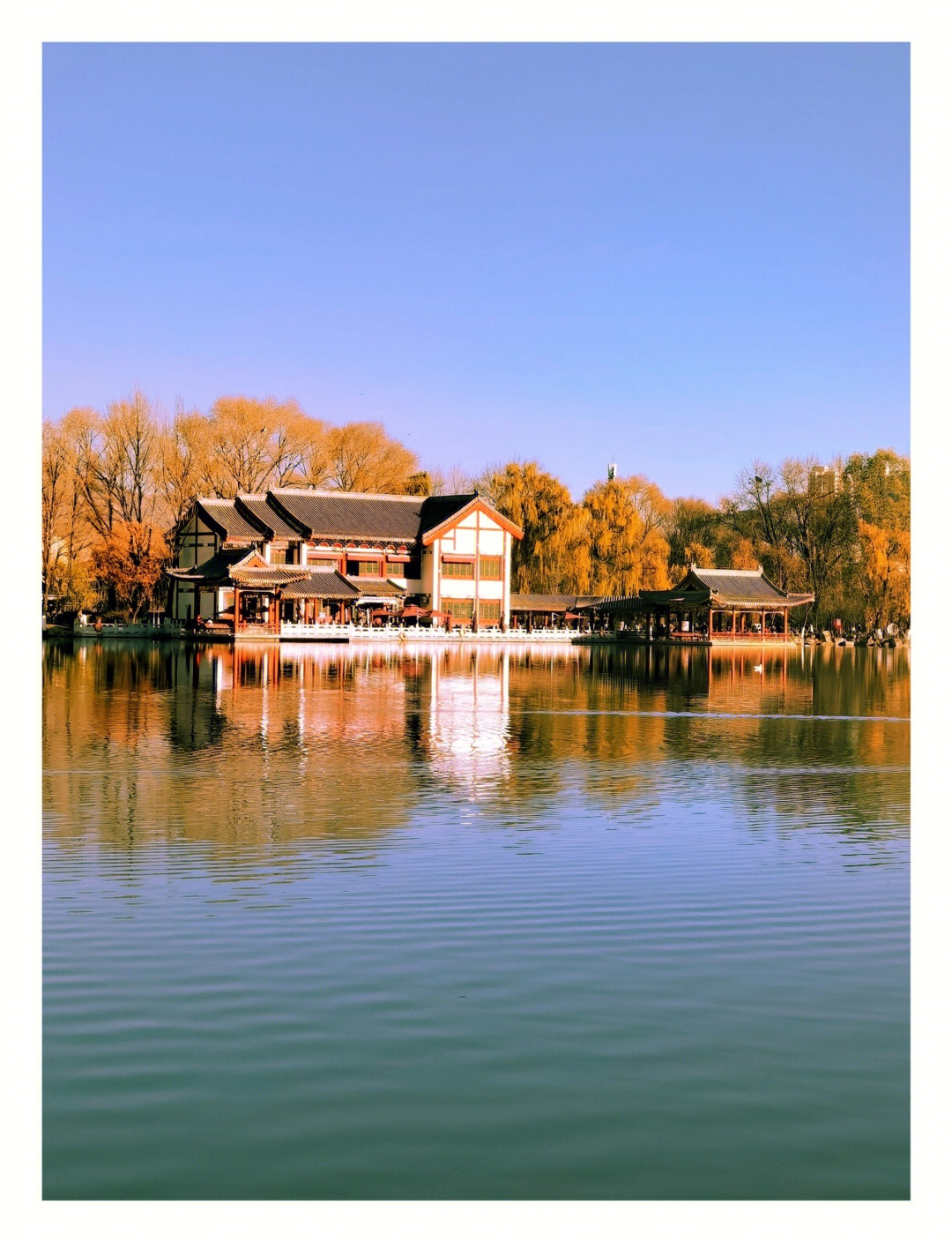 西宁市人民公园