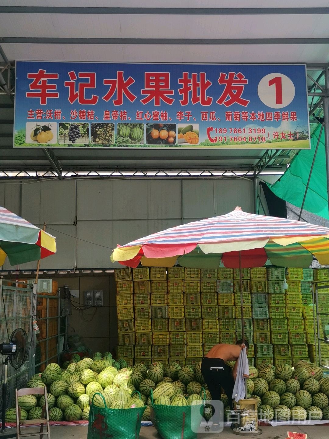 车记水果批发