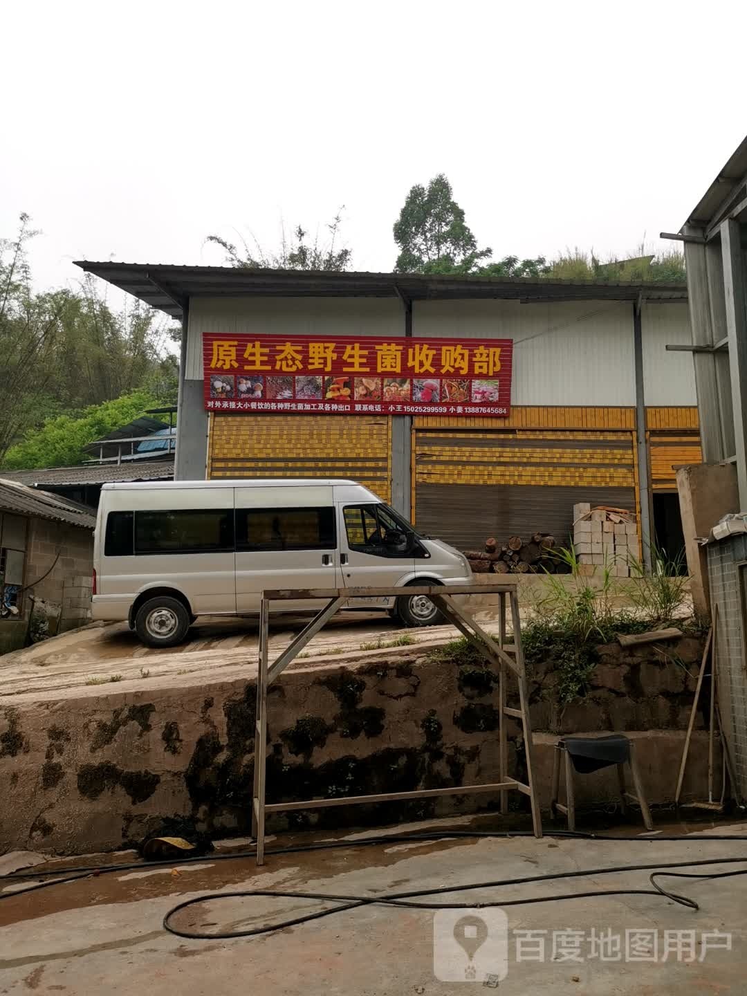原生态野生菌收购部(宁洱店)
