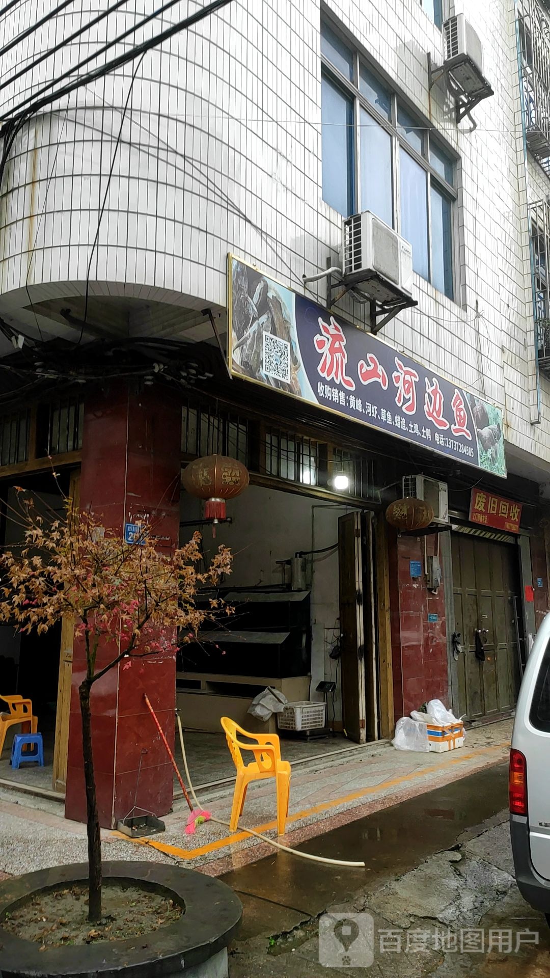流山河边鱼