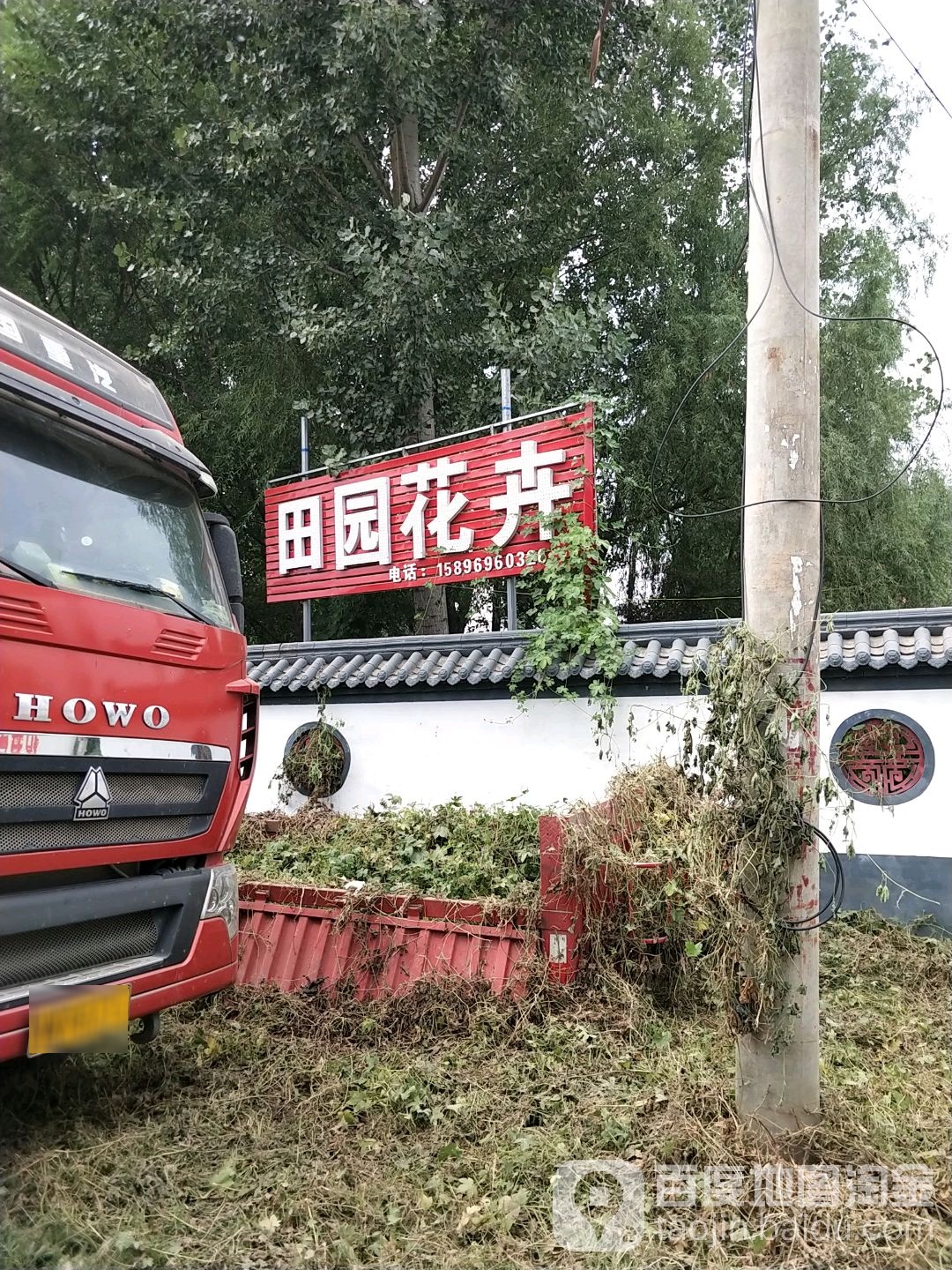 田园花卉
