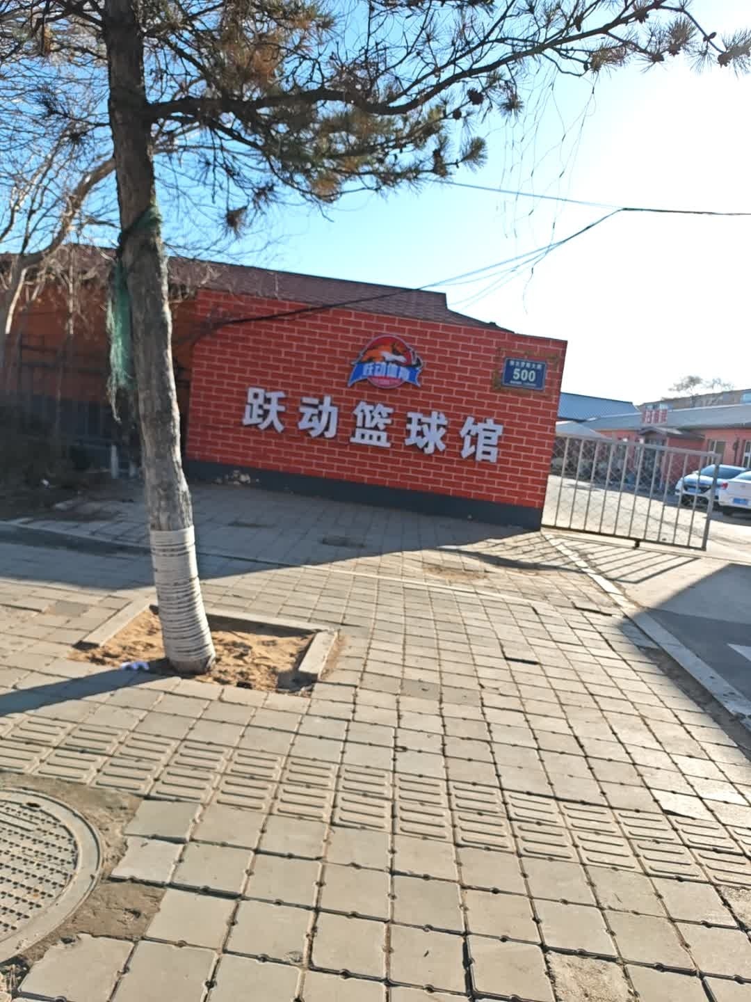 跃动篮球馆(郭尔罗斯大路店)