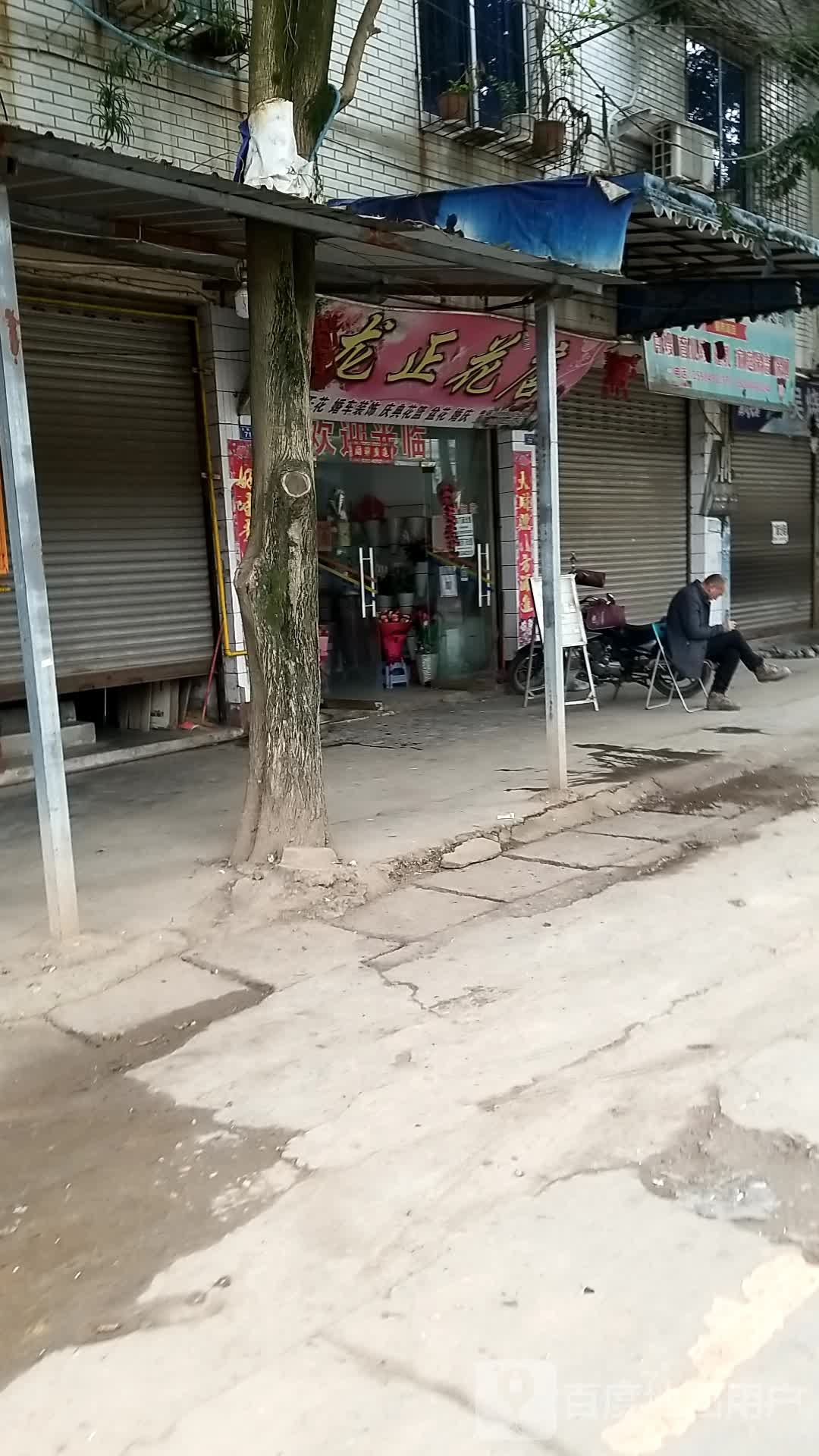 龙正花店