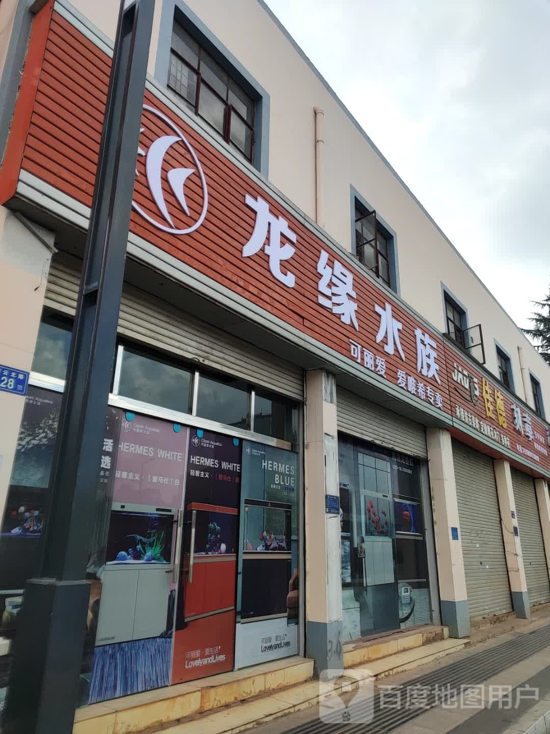 可丽宝爱水族生活馆(滇东北花鸟市场店)