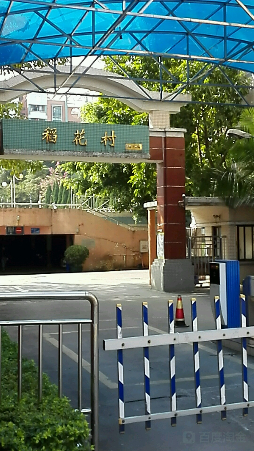 稻花村游泳池