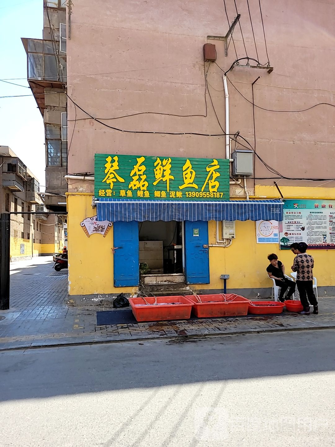 琴磊鱼市店