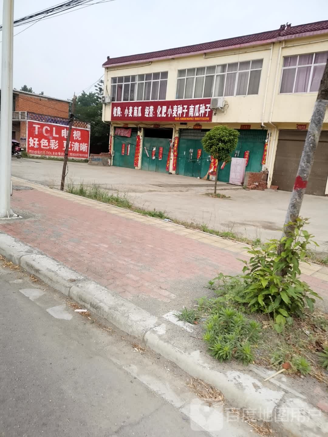 收购小麦南瓜