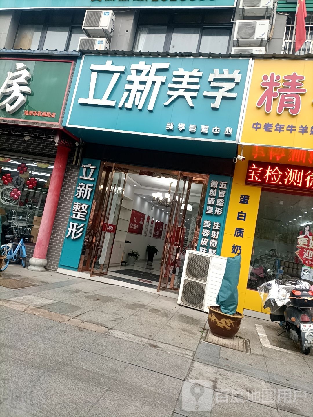 立信美学
