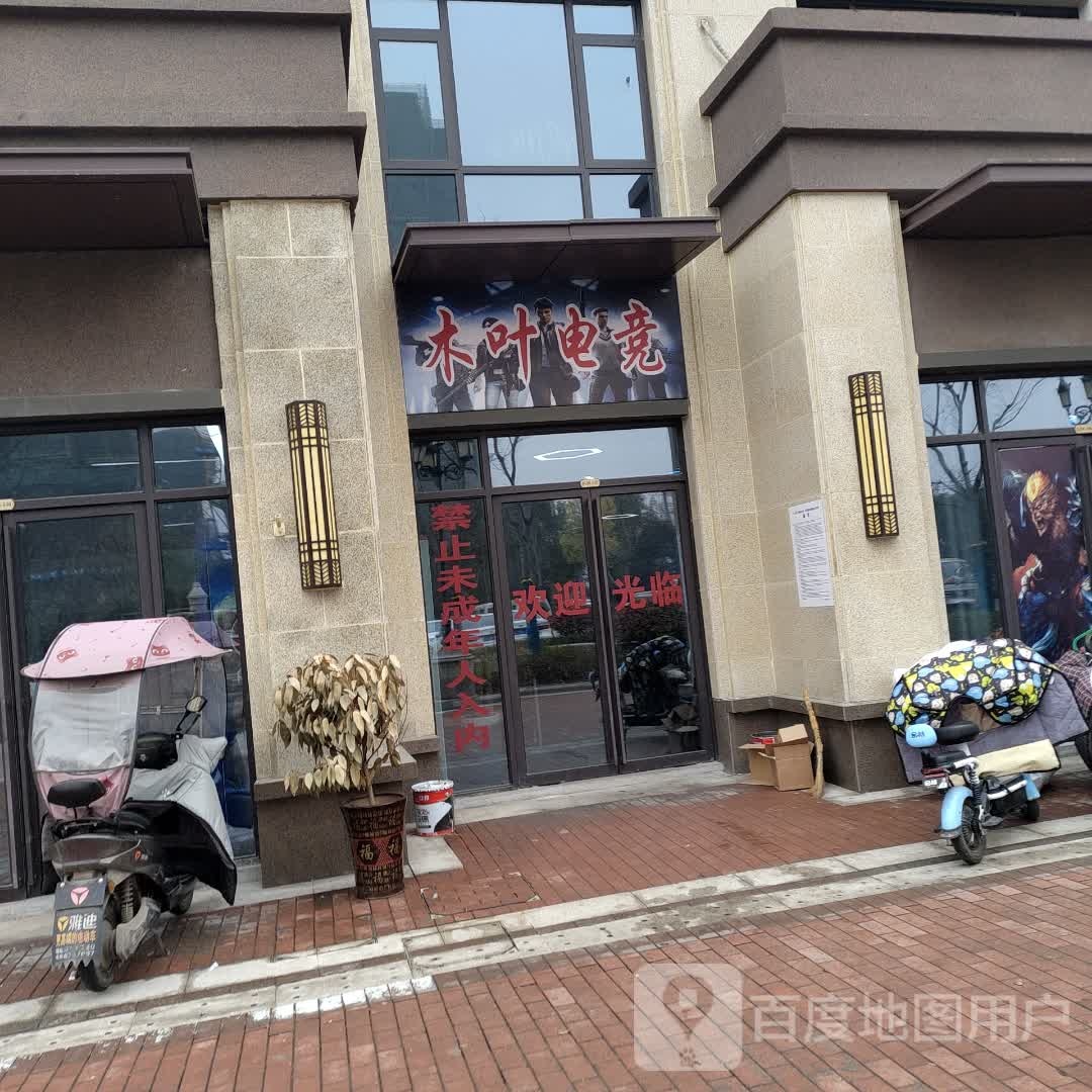 阜南木叶电竞网咖(阜南名邦栖街店)