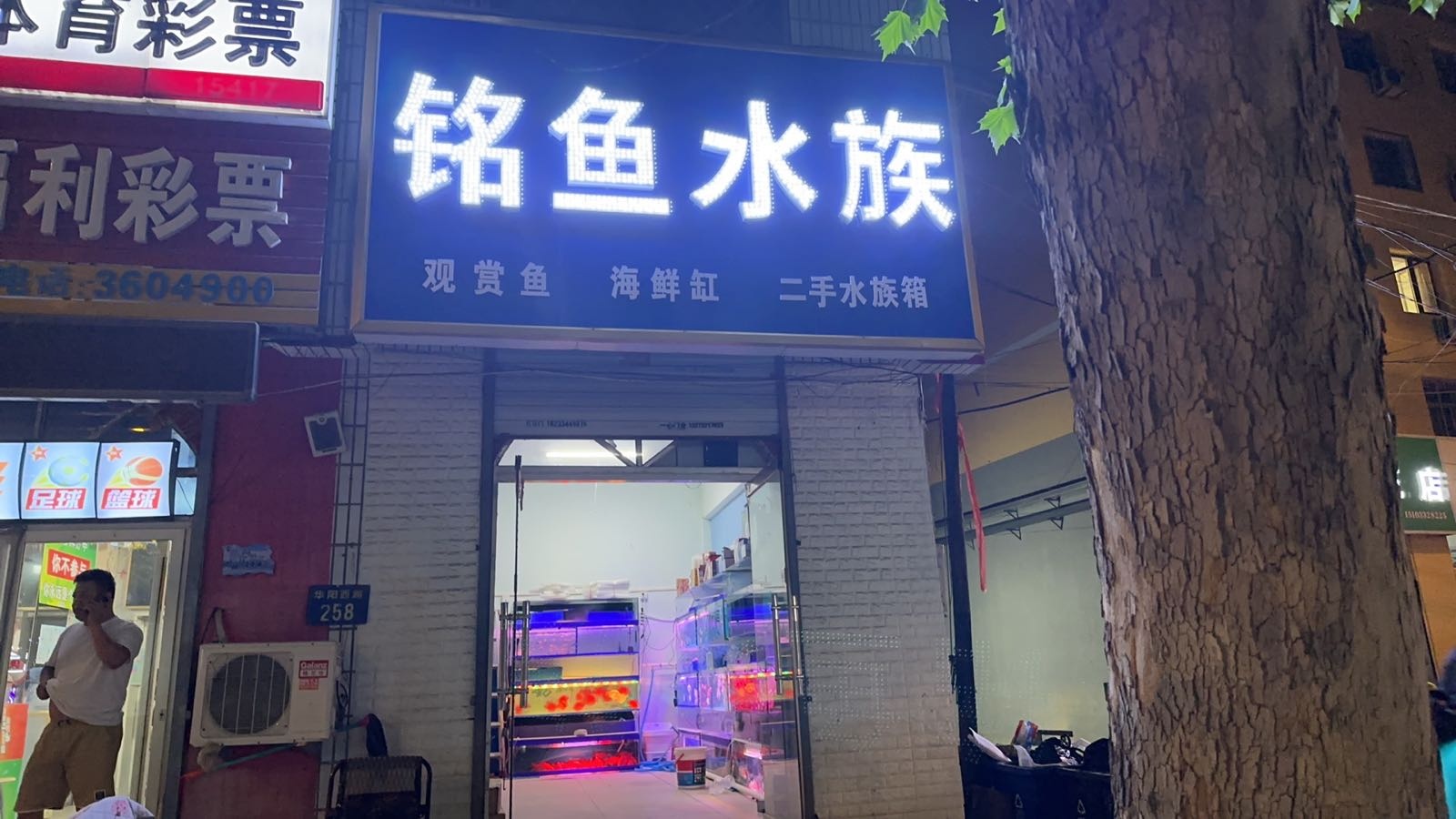 铭鱼水族(华光小区店)