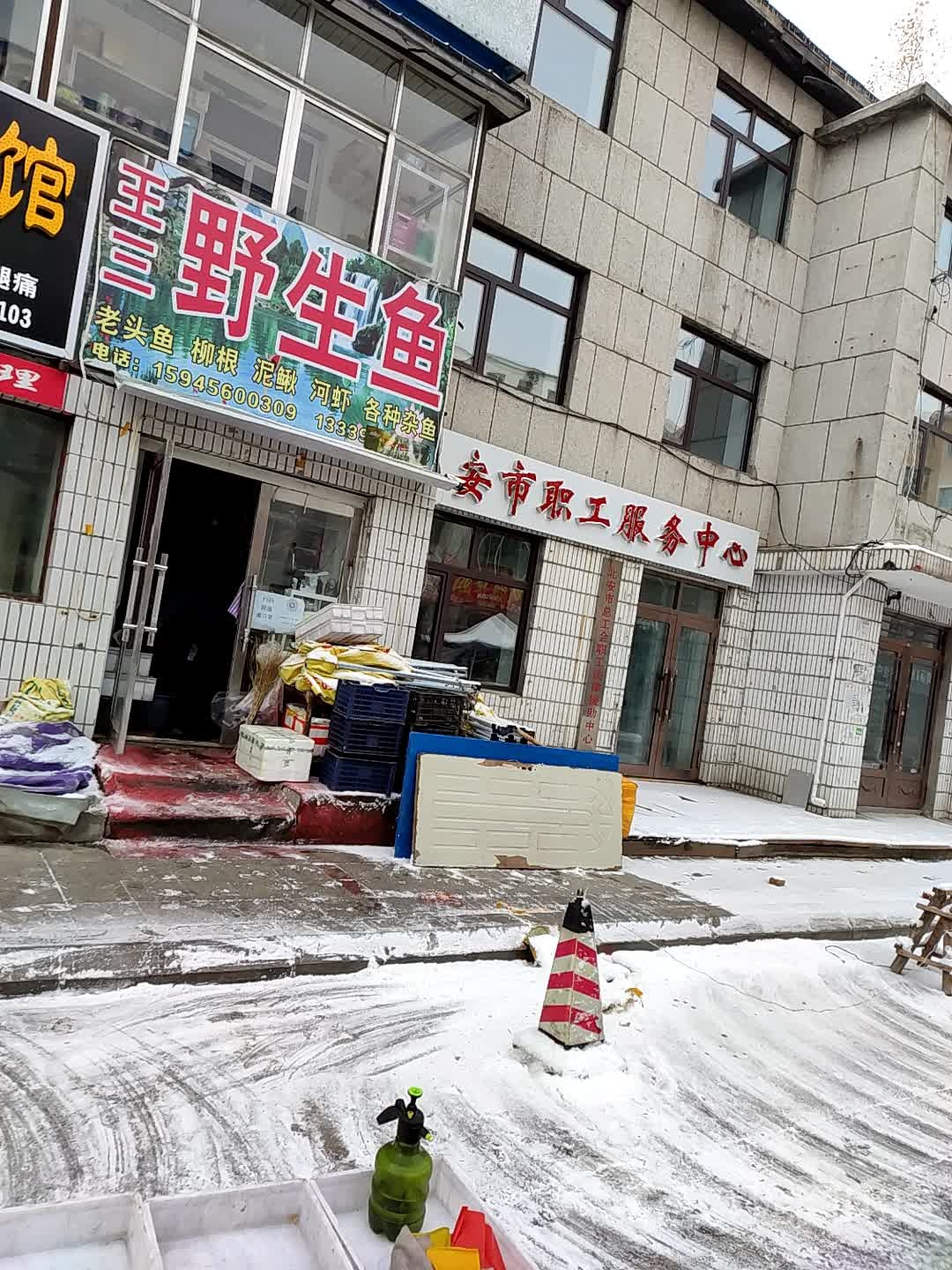 王三卫生鱼