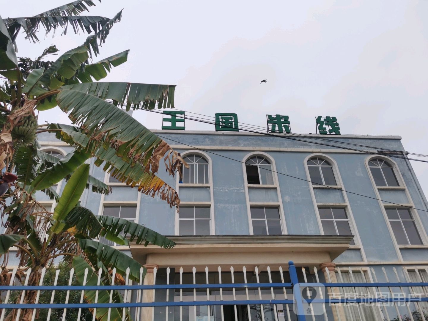 王国米线象