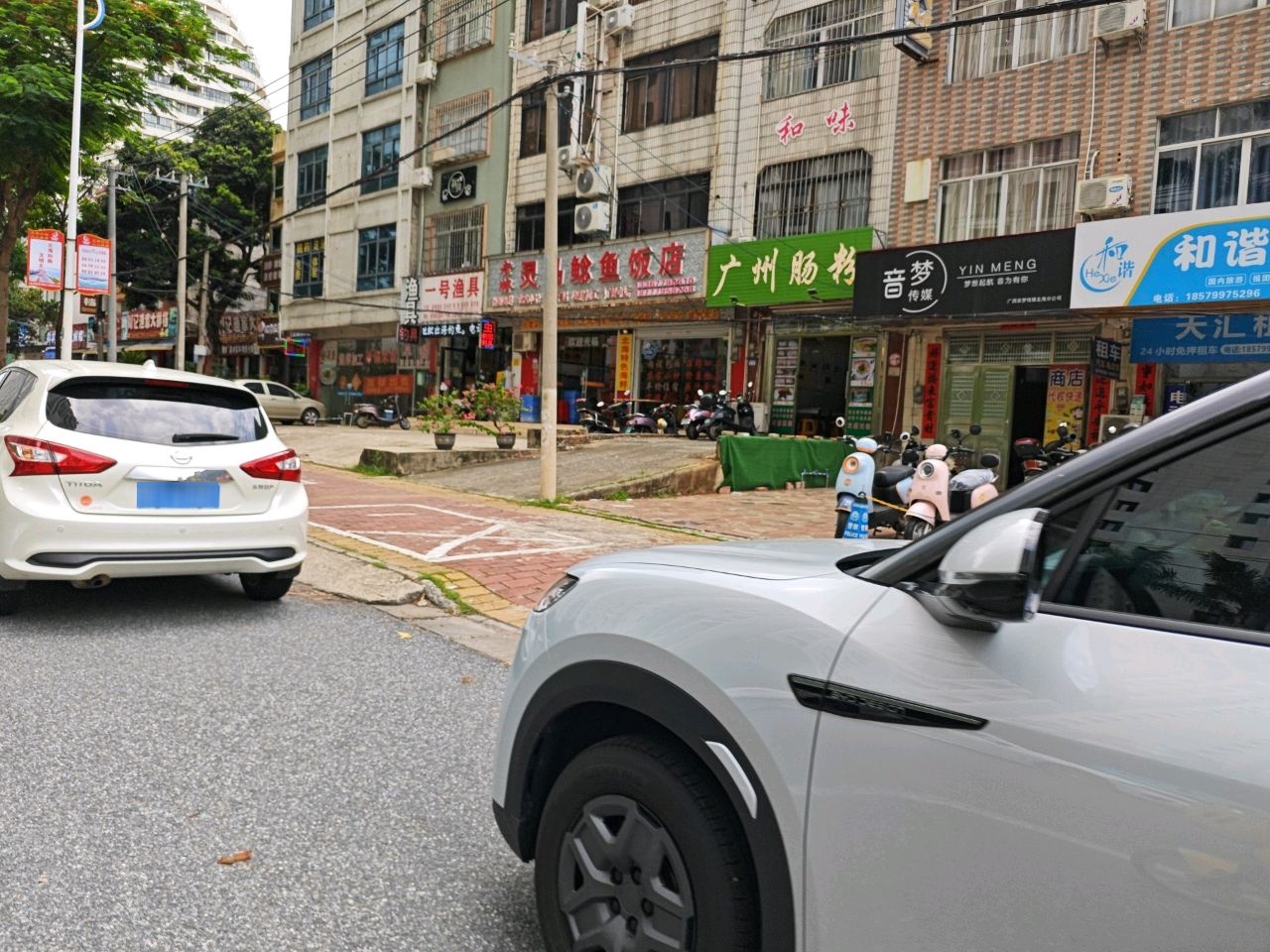 灵马鲶鱼饭店(北部湾东路店)