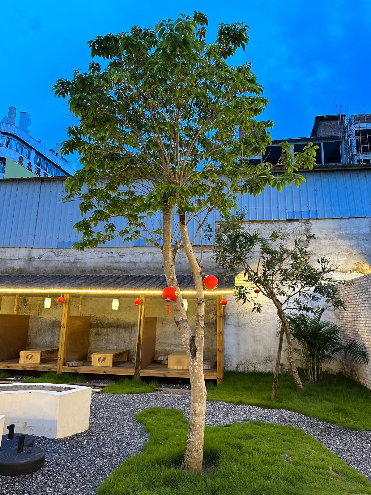山下小院