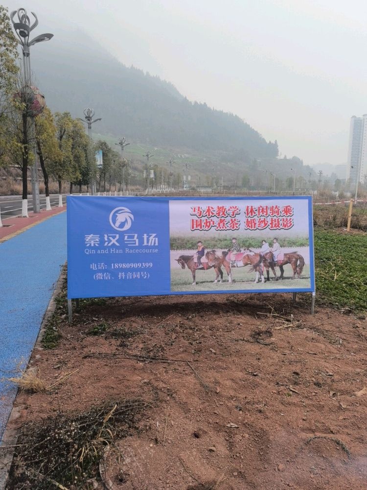 秦汉马场(通江站)