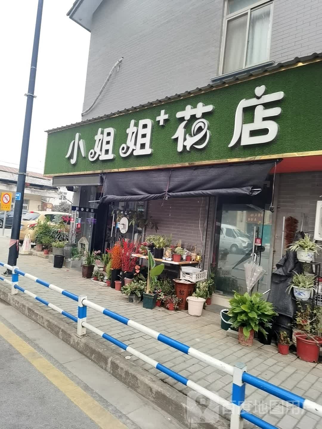 小姐姐+花店