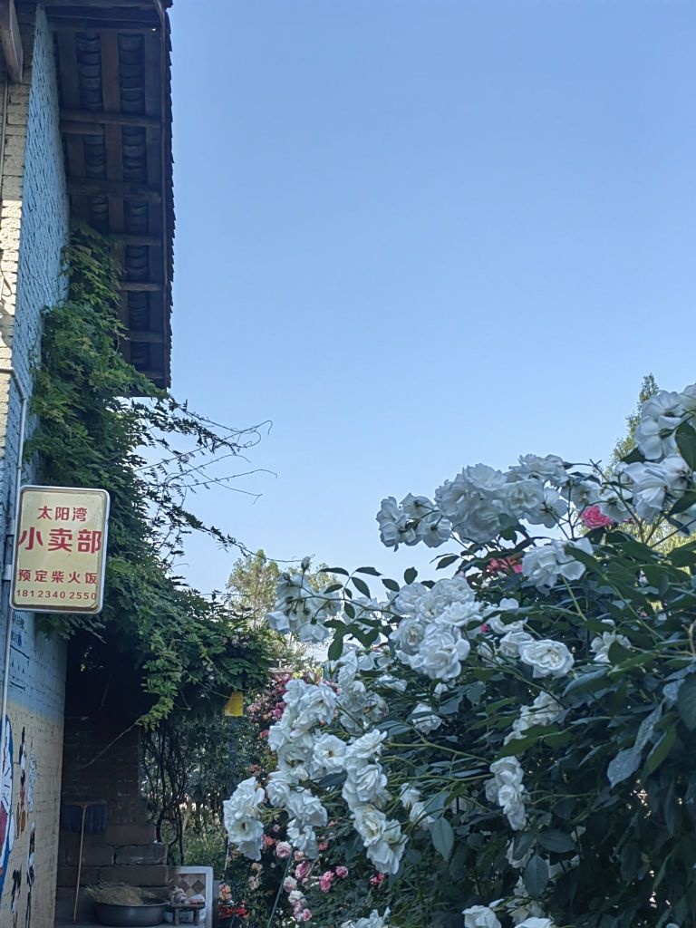 太阳湾小卖部
