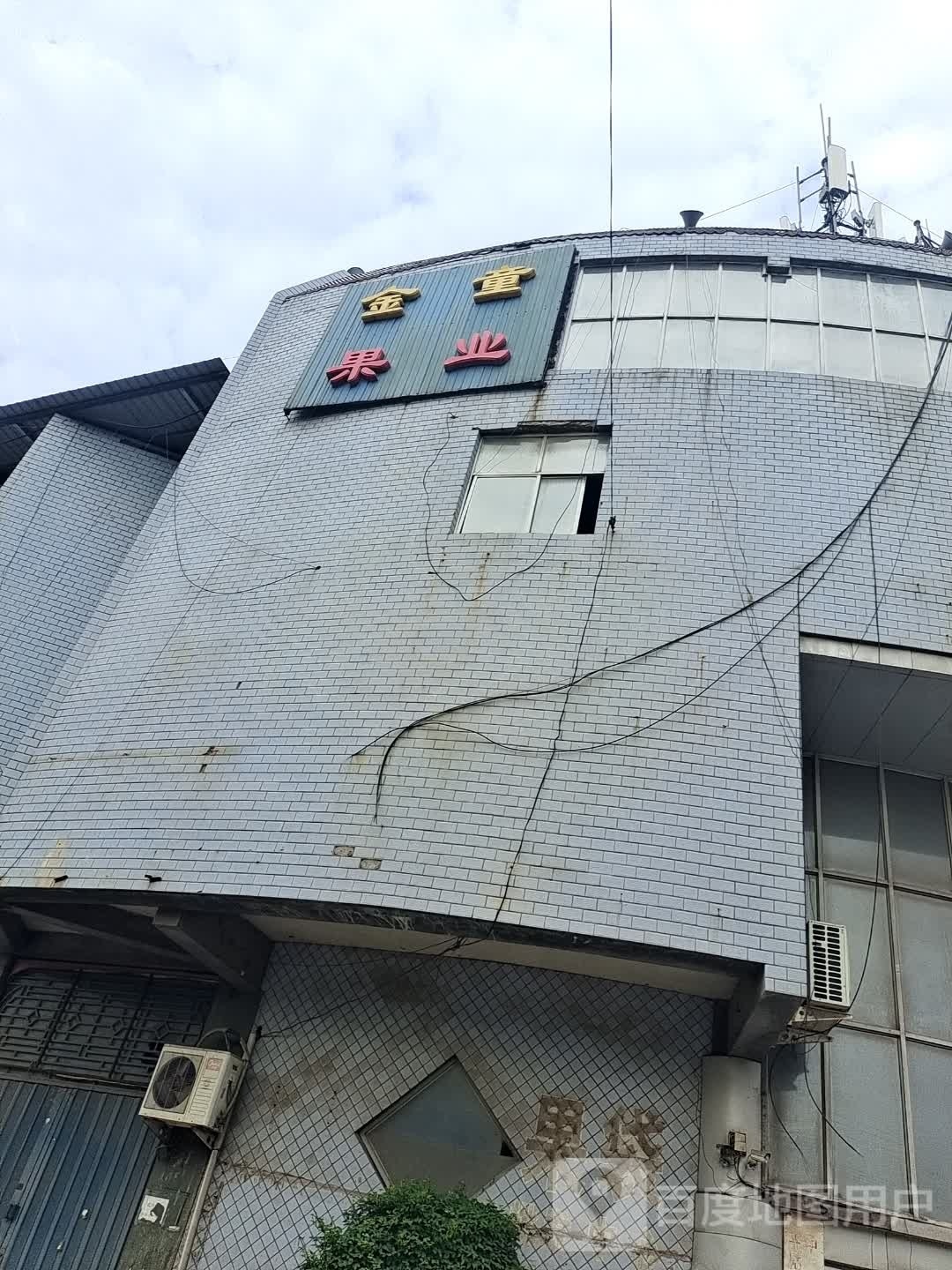 金童果业