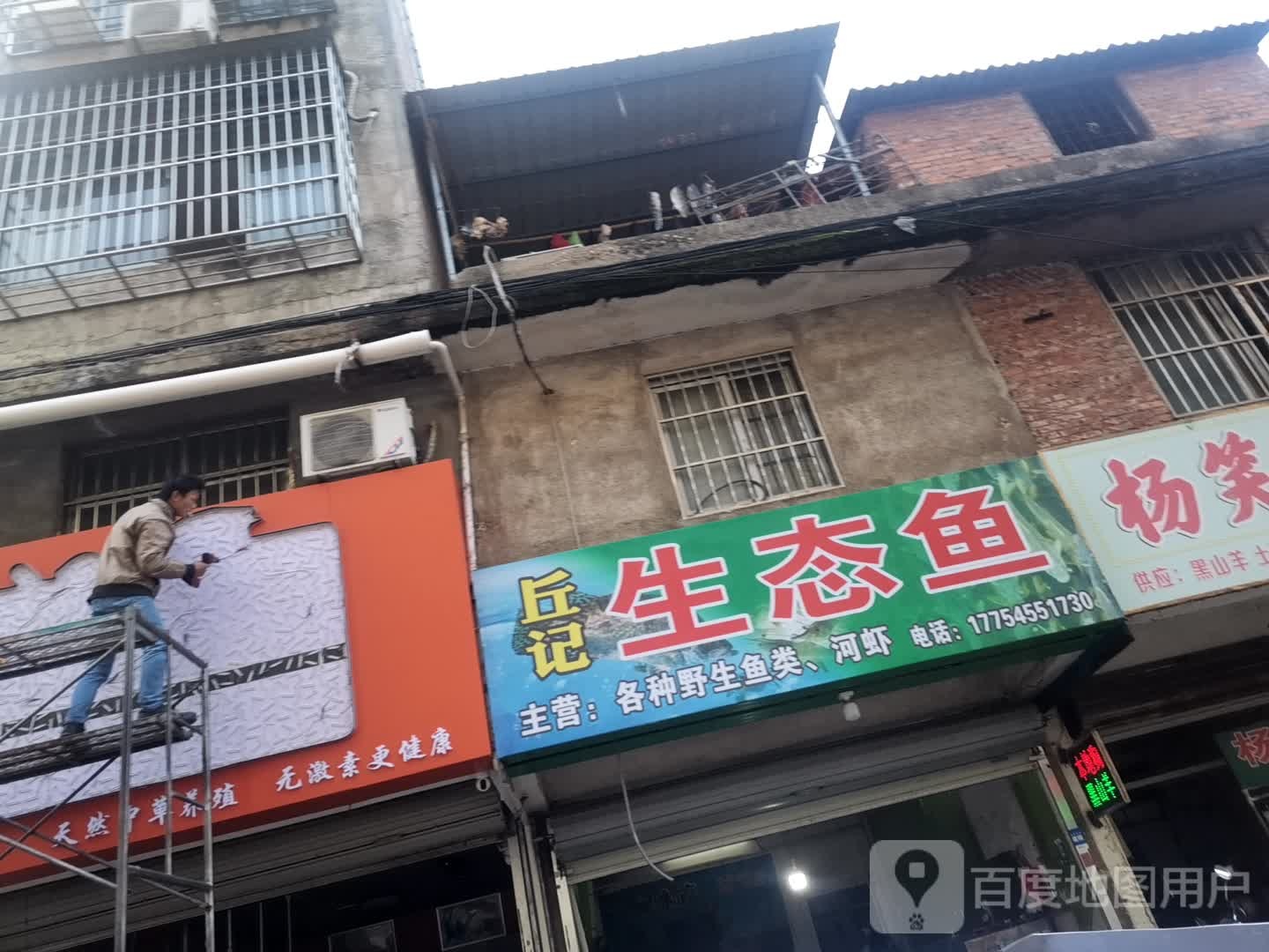 丘计生态鱼