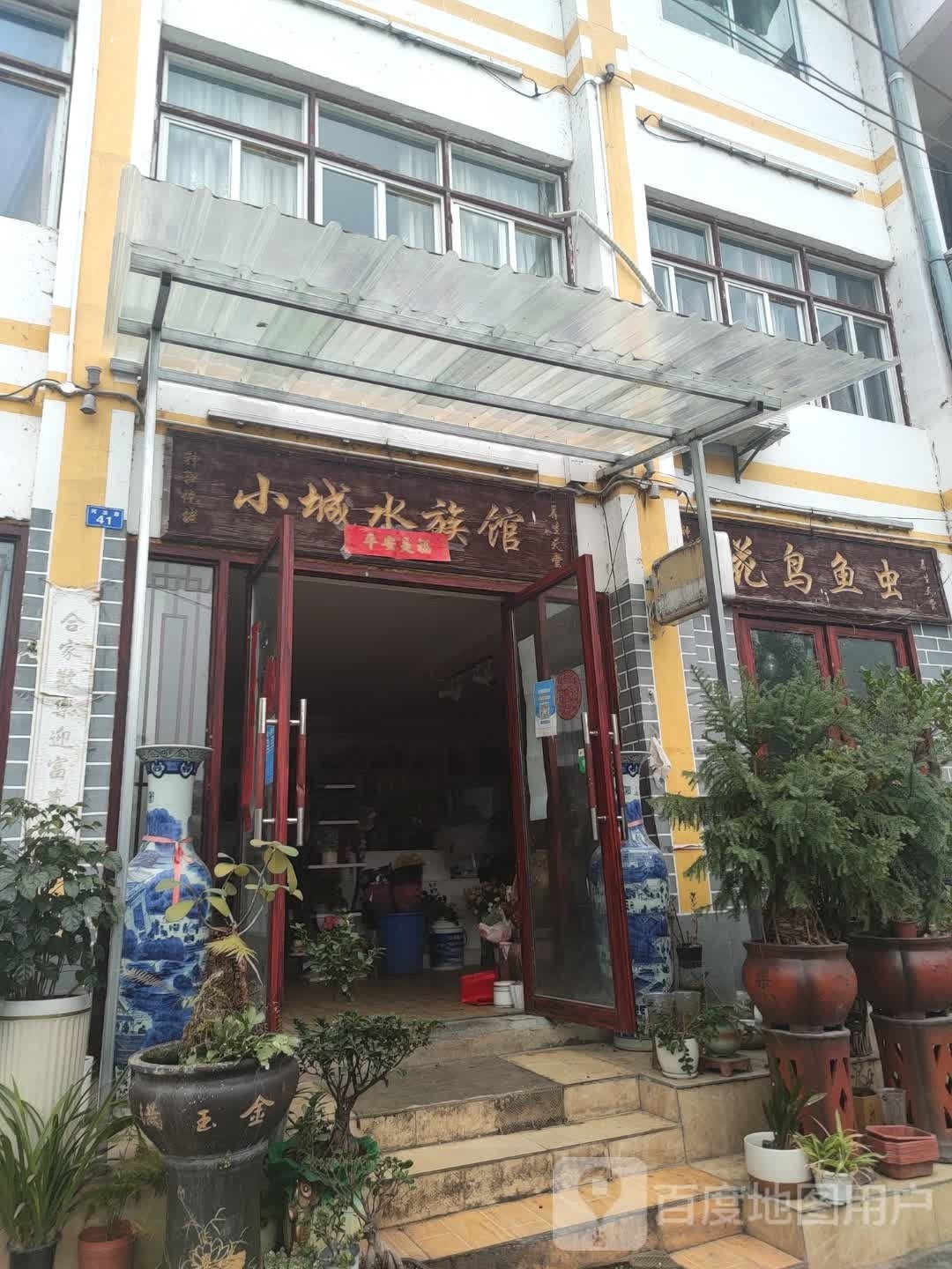 小程水族馆