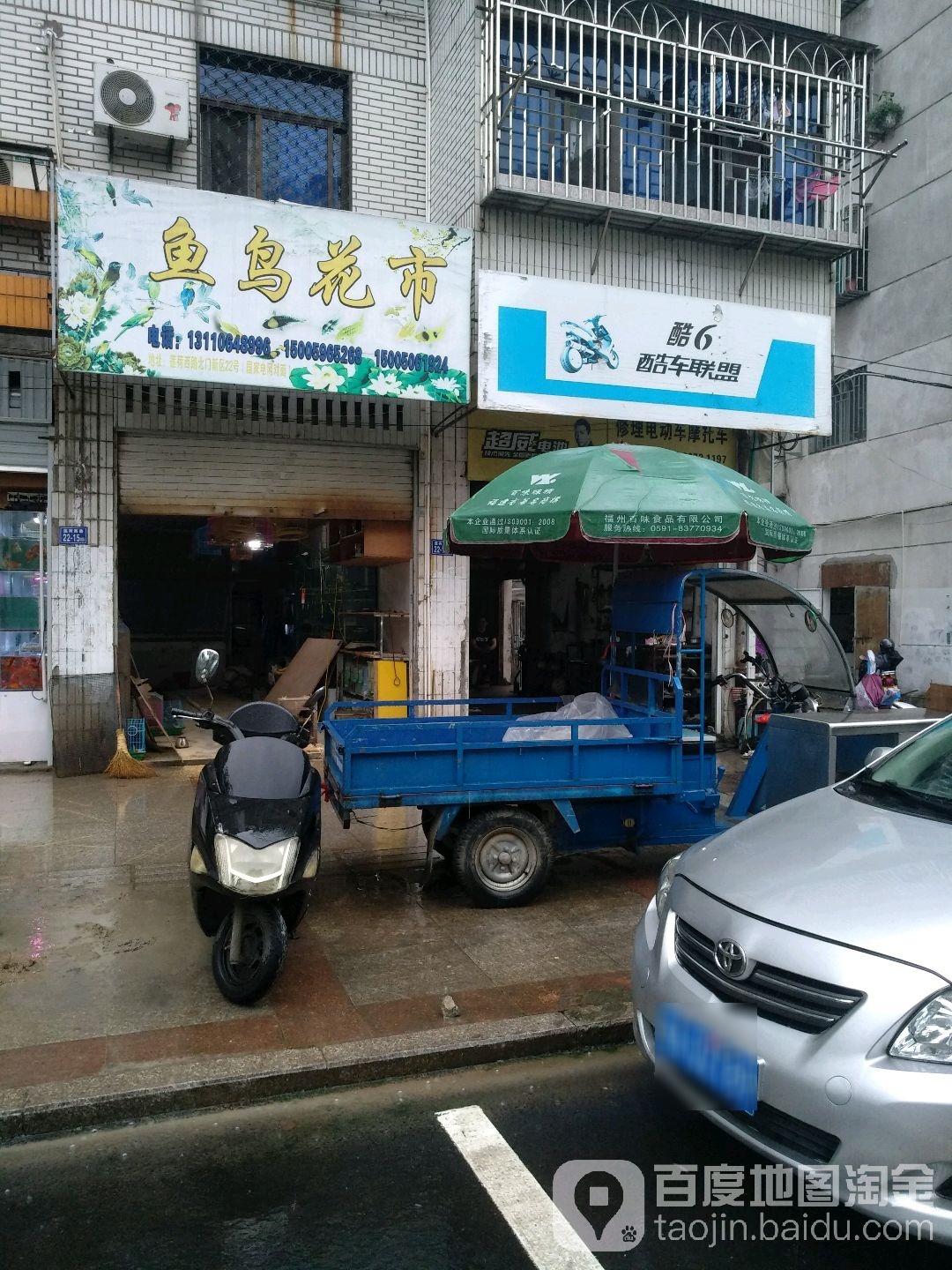 鱼鸟花式