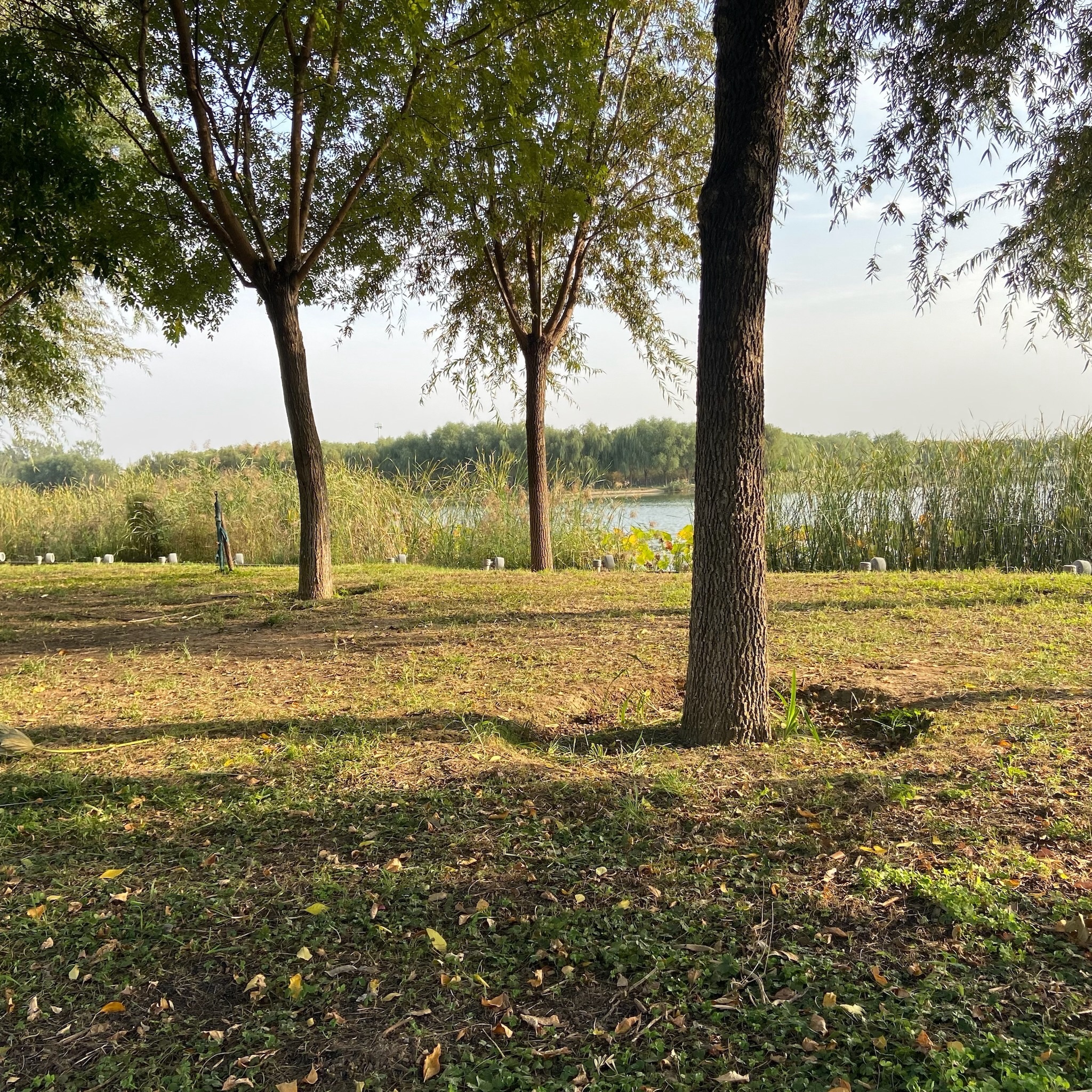 明曦湖公园