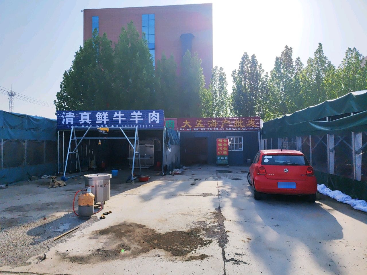 清真鲜牛羊肉