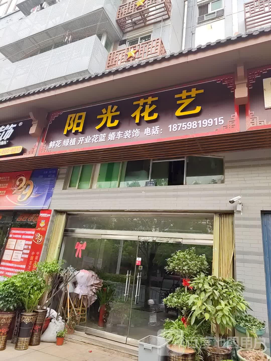 阳光花艺