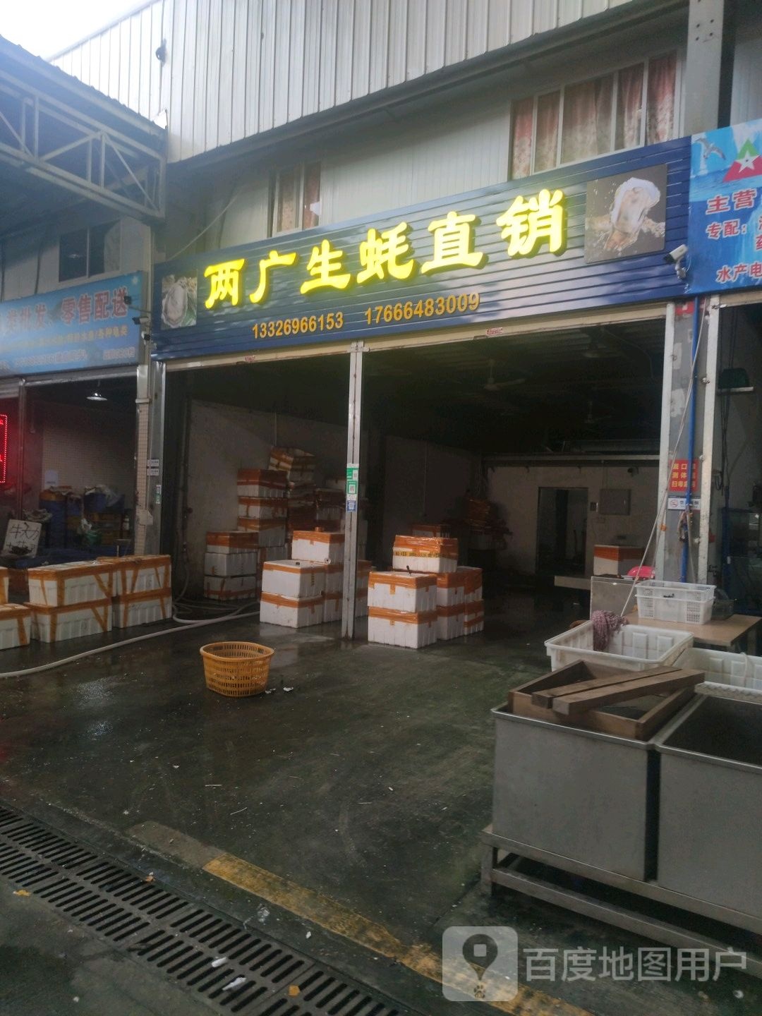 两广生蚝直销