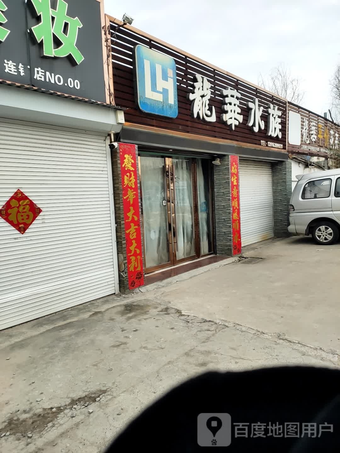 龙华平假花卉(阜阳路店)