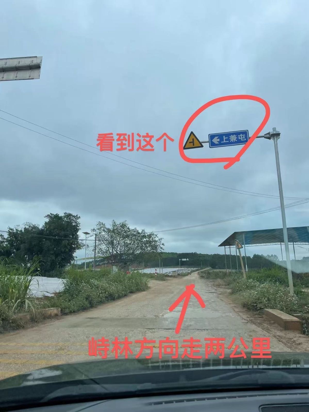 上兼绿色生态桑葚园